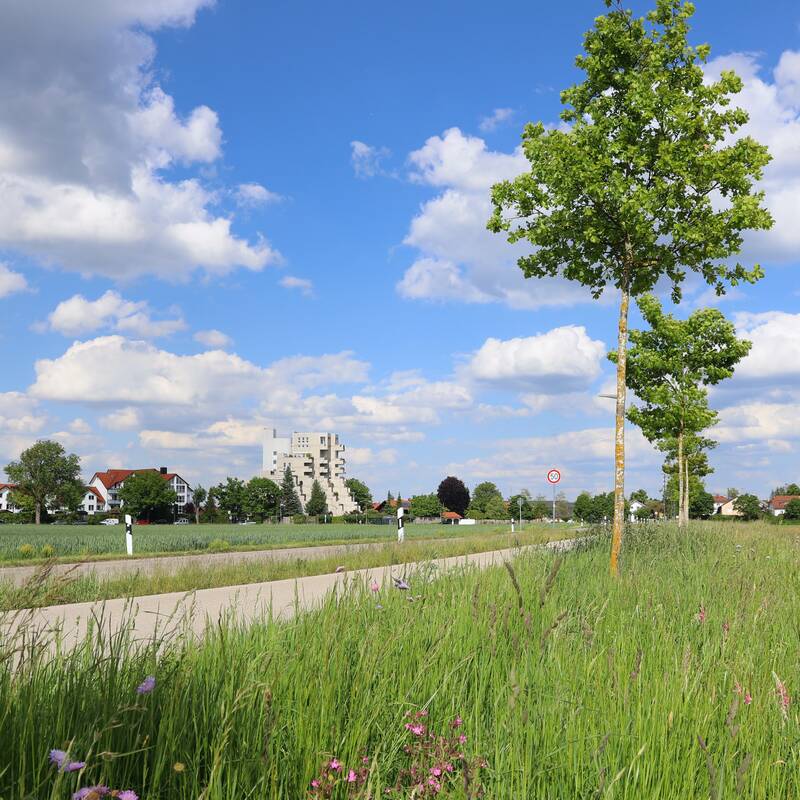 Eine ländliche Straße verläuft durch eine grüne Landschaft mit Bäumen, einem Feld und vereinzelten Häusern unter einem leicht bewölkten blauen Himmel.