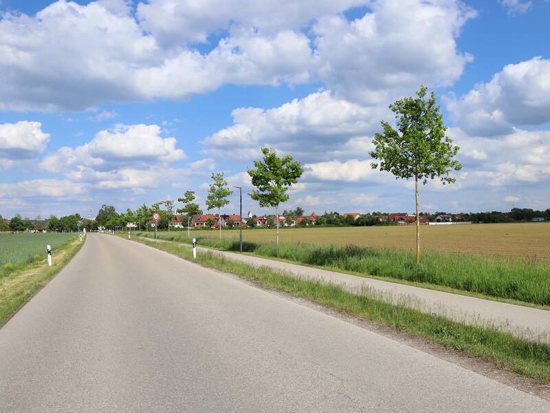 Eine Landstraße führt durch eine ländliche Landschaft mit Feldern und einer Baumallee, und im Hintergrund sind Häuser und ein blauer Himmel mit Wolken zu sehen.
