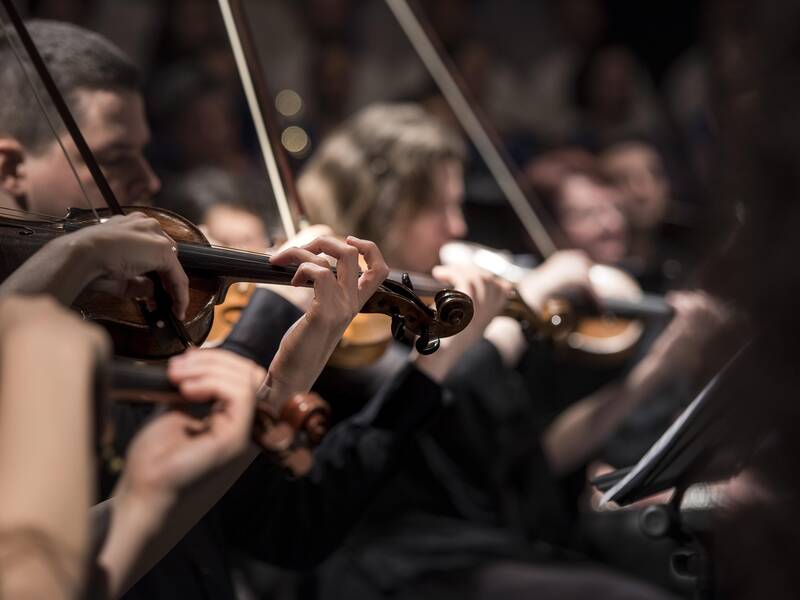 Mehrere Geigenspieler nebeneinader spielen auf ihren Instrumenten